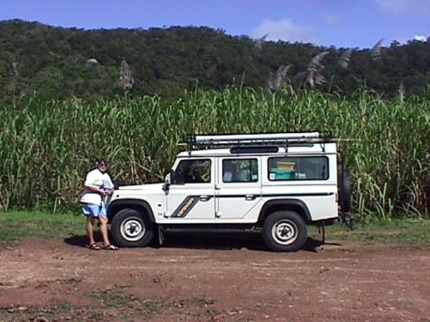 06-20-1998 sugar cane near mossman.JPG