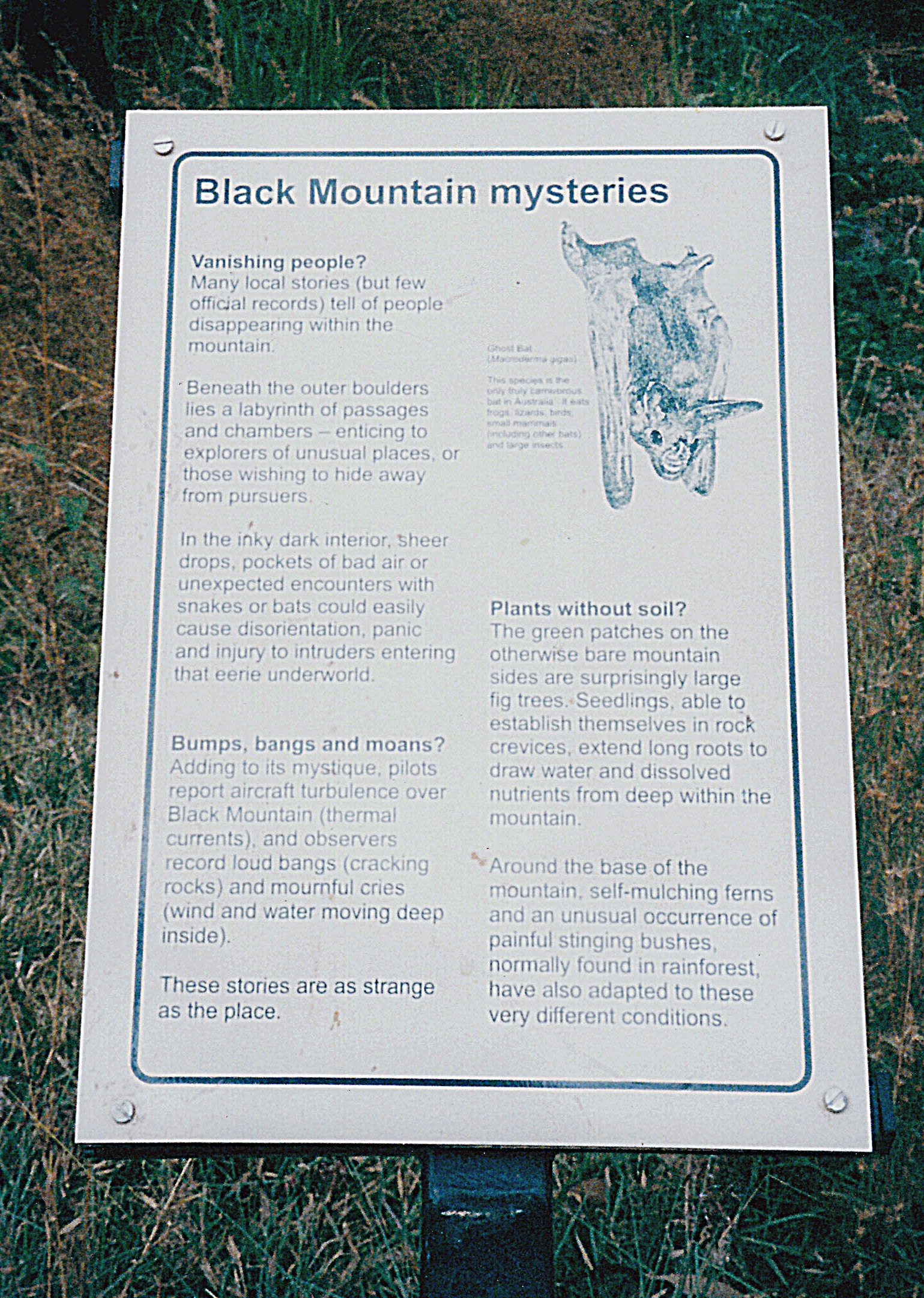 06-30-1998 06 Black Mt explanation.jpg