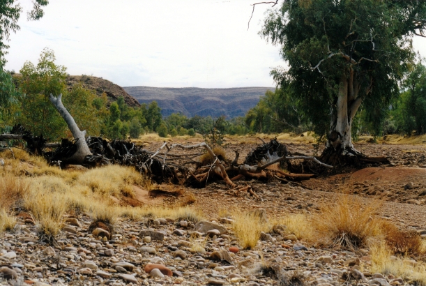 08-11-1999 04 looking back at Finke Gorge from sth of Boggy Hole