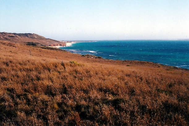 10-30-2000 coast near Coral Bay.jpg