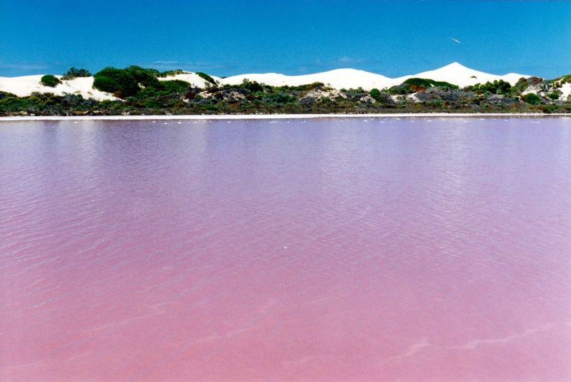 12-01-2000 06 pink lakes
