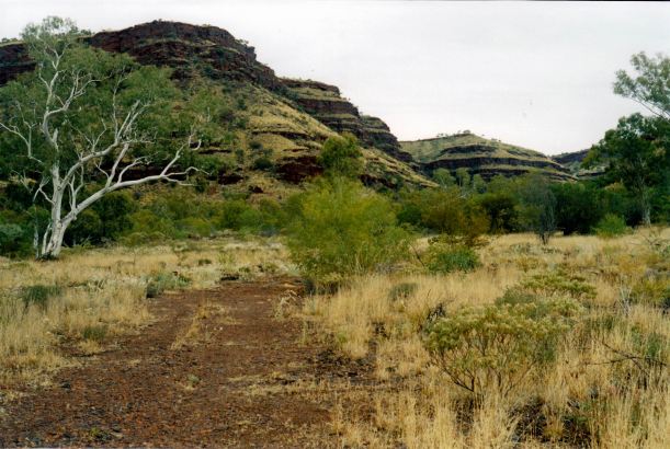 Resize of 07-16-2004 04 Wittenoom Gorge old township area.jpg