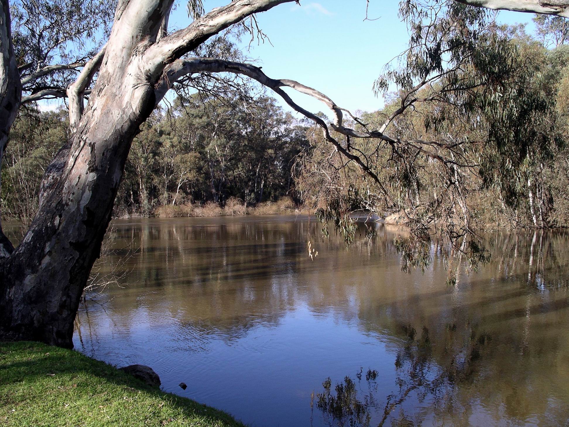 Resize of 04-03-2006 Murray River view downstream